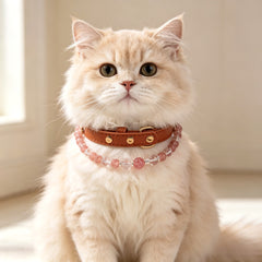 Crystal Pet Collar – 5 Styles Available - product detail 9