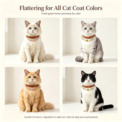 Crystal Pet Collar – 5 Styles Available - product detail 24