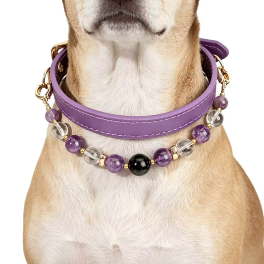 Amethyst Secret Guardian Pet Collar - main product image