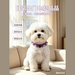 Amethyst Secret Guardian Pet Collar - product detail 7