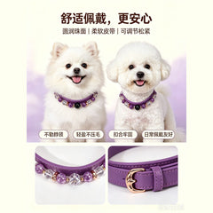 Amethyst Secret Guardian Pet Collar - product detail 8