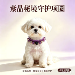 Amethyst Secret Guardian Pet Collar - product detail 10