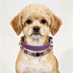 Amethyst Secret Guardian Pet Collar - product detail 14