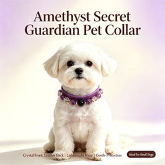 Amethyst Secret Guardian Pet Collar - product detail 15