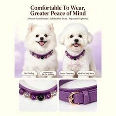 Amethyst Secret Guardian Pet Collar - product detail 16