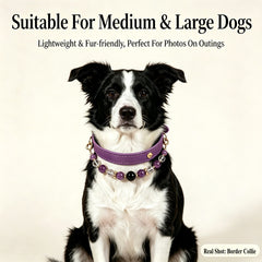 Amethyst Secret Guardian Pet Collar - product detail 18