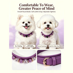 Amethyst Secret Guardian Pet Collar - product detail 19