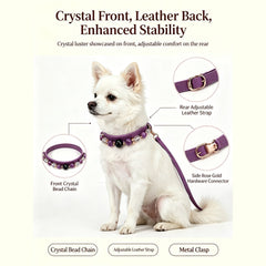 Amethyst Secret Guardian Pet Collar - product detail 21