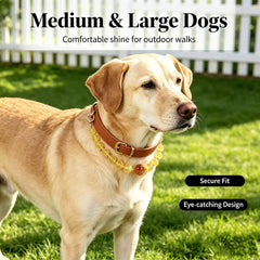 Citrine Prosperity Pet Collar - product detail 4