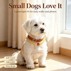 Citrine Prosperity Pet Collar - product detail 5