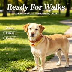 Citrine Prosperity Pet Collar - product detail 6