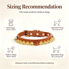Citrine Prosperity Pet Collar - product detail 9