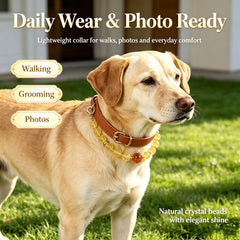 Citrine Prosperity Pet Collar - product detail 10