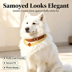 Citrine Prosperity Pet Collar - product detail 15