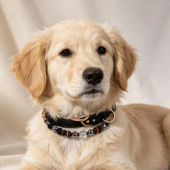 Tiger Eye Grounding Crystal Pet Collar - product detail 2