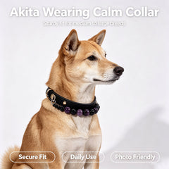 Amethyst & Obsidian Crystal Dog Collar - product detail 5