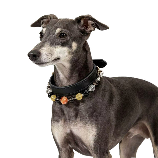 Prosperity Multi-Stone Crystal Dog Collar - main product image