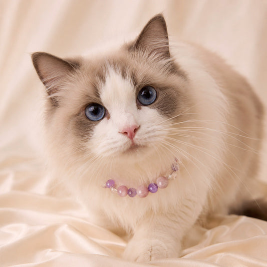 Rose Quartz & Amethyst Crystal Cat Collar - main product image